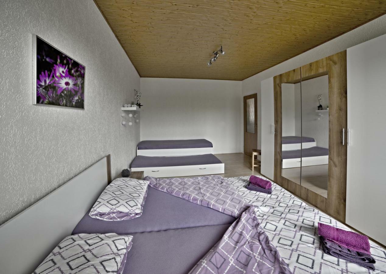 apartmány 2+1 u Klínovce Kovarska Exterior foto